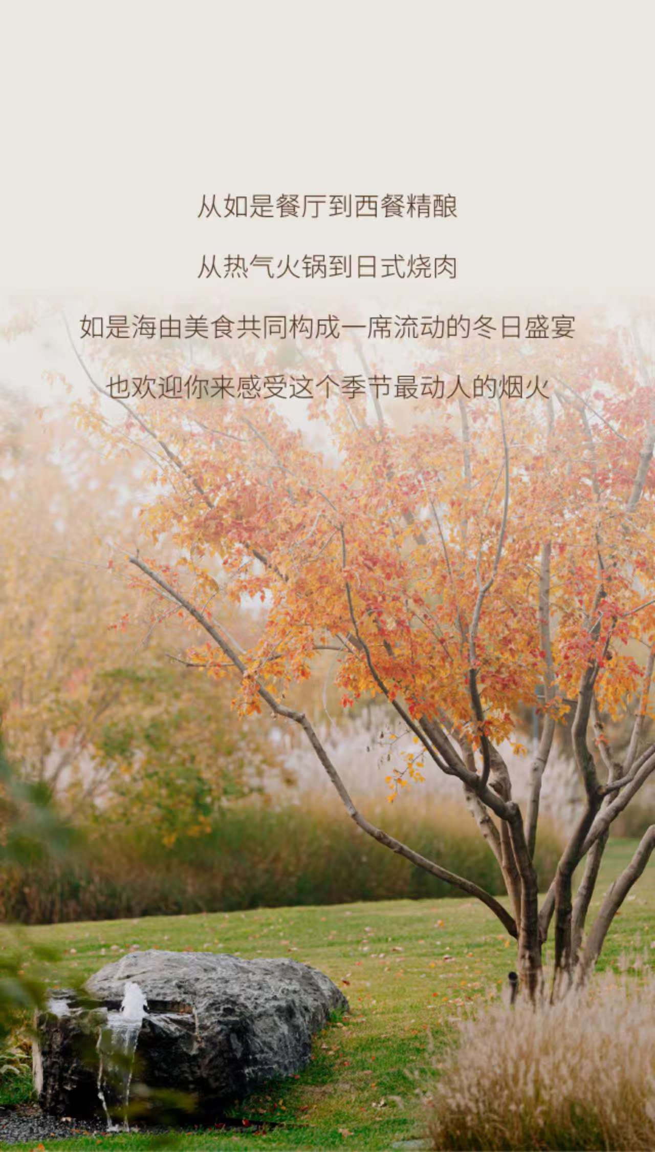 56532c83f4c04e992c2ceef27443fb2b.jpg
